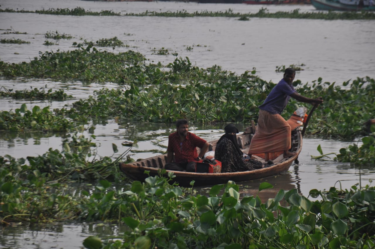 বুড়িগঙ্গা নদীতে কচুরিপানা জন্য নৌকা চালাতে হিমশিম খেতে হচ্ছে মাঝিদের। ছবিটি সদরঘাট লালকুঠি থেকে তোলা। ছবি: আব্দুর রহমান