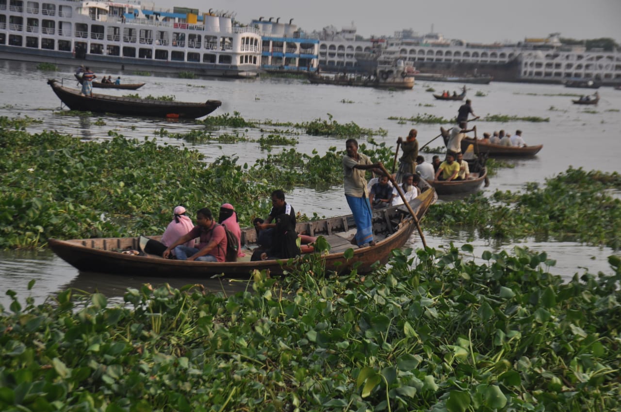 বুড়িগঙ্গা নদীতে কচুরিপানা জন্য নৌকা চালাতে হিমশিম খেতে হচ্ছে মাঝিদের। ছবিটি সদরঘাট লালকুঠি থেকে তোলা। ছবি: আব্দুর রহমান