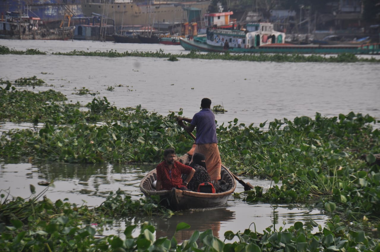 বুড়িগঙ্গা নদীতে কচুরিপানা জন্য নৌকা চালাতে হিমশিম খেতে হচ্ছে মাঝিদের। ছবিটি সদরঘাট লালকুঠি থেকে তোলা। ছবি: আব্দুর রহমান