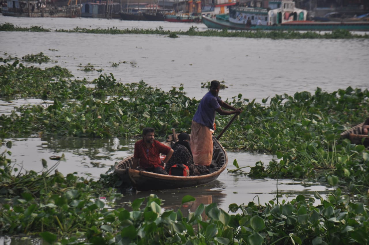 বুড়িগঙ্গা নদীতে কচুরিপানা জন্য নৌকা চালাতে হিমশিম খেতে হচ্ছে মাঝিদের। ছবিটি সদরঘাট লালকুঠি থেকে তোলা। ছবি: আব্দুর রহমান