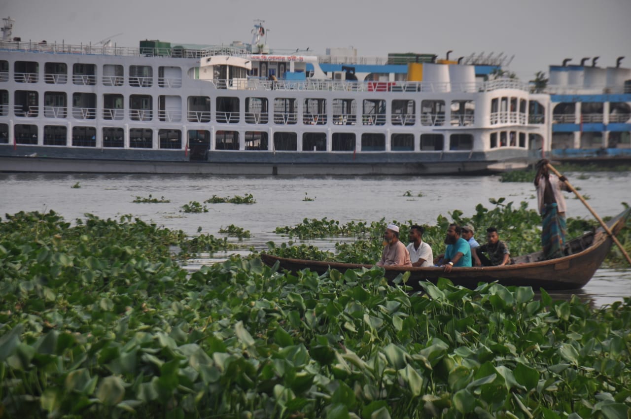 বুড়িগঙ্গা নদীতে কচুরিপানা জন্য নৌকা চালাতে হিমশিম খেতে হচ্ছে মাঝিদের। ছবিটি সদরঘাট লালকুঠি থেকে তোলা। ছবি: আব্দুর রহমান