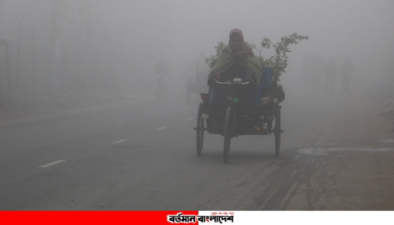 নওগাঁয় তাপমাত্রা ১০ ডিগ্রি, হিমেল বাতাসে কাবু জনজীবন