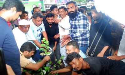 পরিবেশের ভারসাম্য রক্ষায় বৃক্ষ রোপণের বিকল্প নেই- বাবর