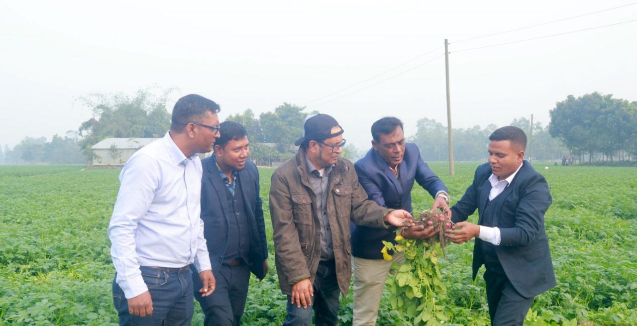 দেশে উচ্চমানের আলু বীজ সরবরাহে কাজ করছে এসিআই দিনাজপুর